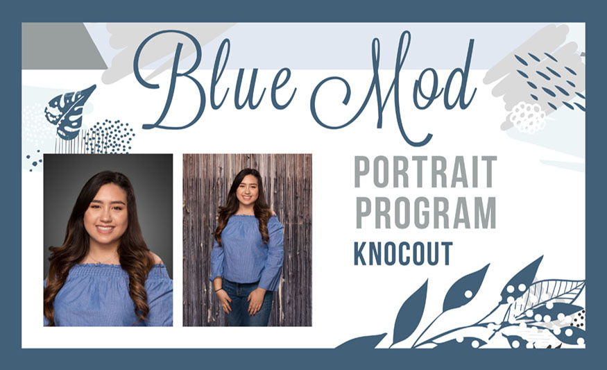 BLUE MOD PORTRAIT PROGRAM