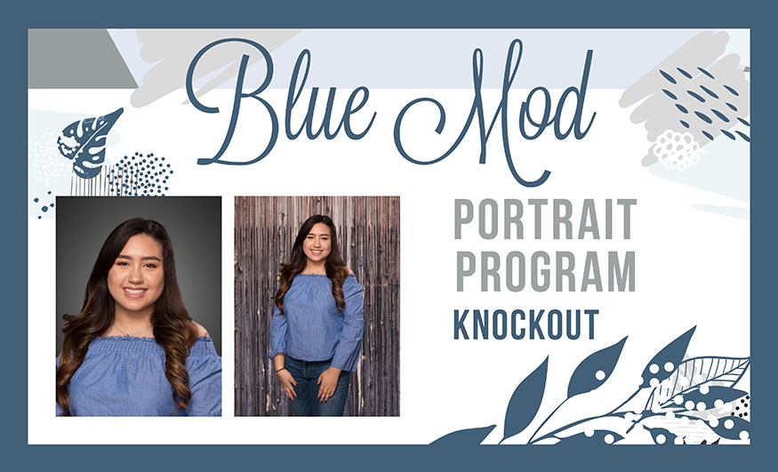 Blue Mod Portrait Program