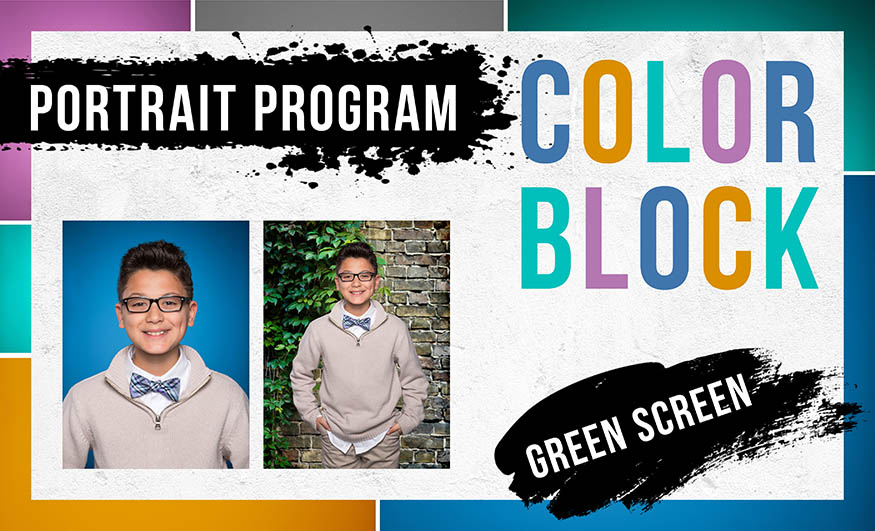Color Block Portrait Program