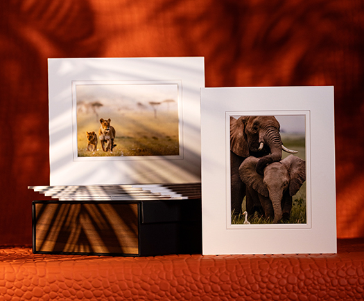 20% off All Edge Prints + Box